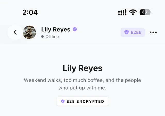A chat with Lily Reyes, marked E2E encrypted.